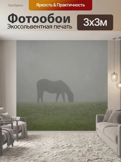 Фотообои Лошадь
