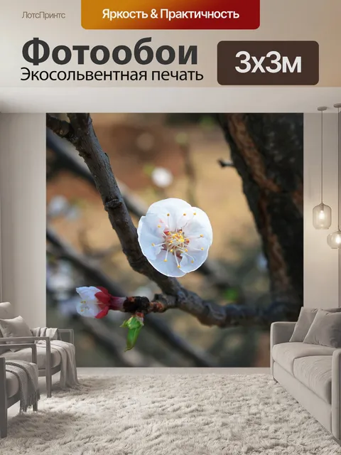 Фотообои рано цвести