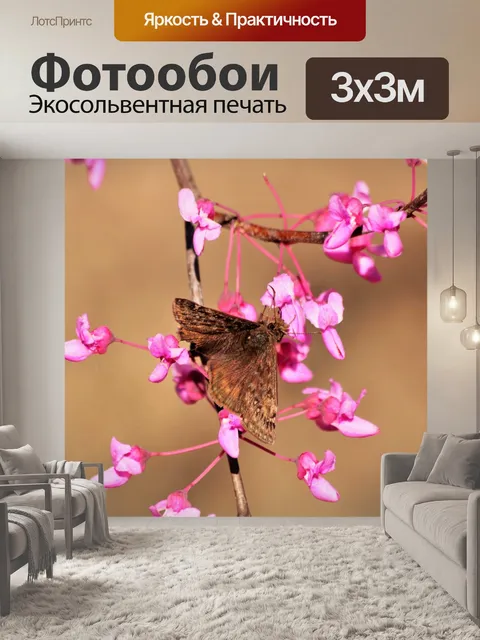Фотообои Коричневая бабочка на красноватых цветах