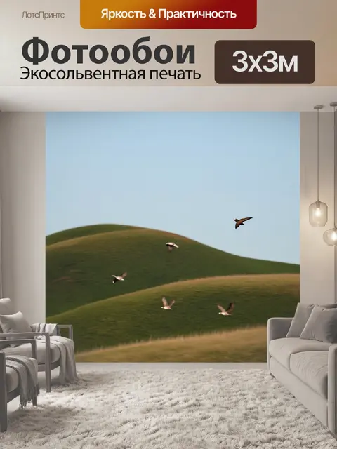 Фотообои птицы, парящие над волнующими холмами