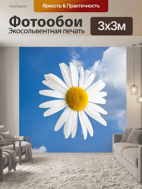 Фотообои Маргаритка