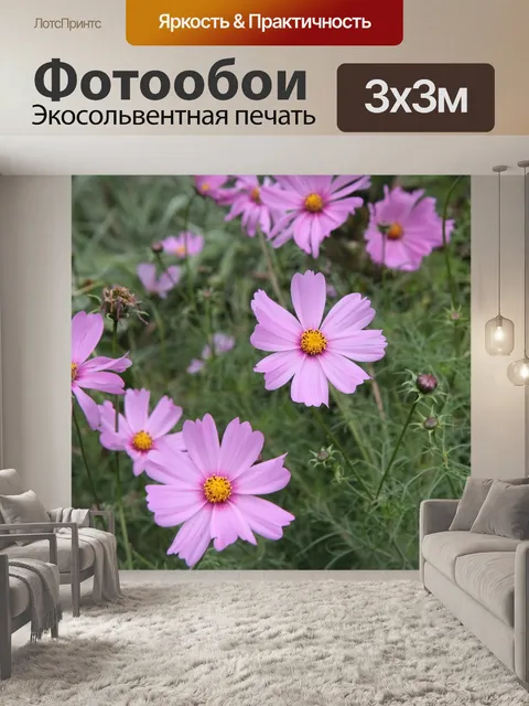 Фотообои Космос