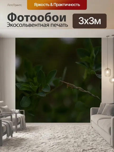 Фотообои Растения
