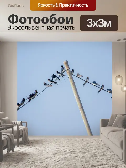 Фотообои Птицы