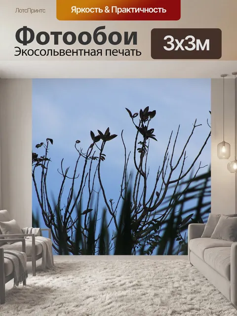 Фотообои Цветы