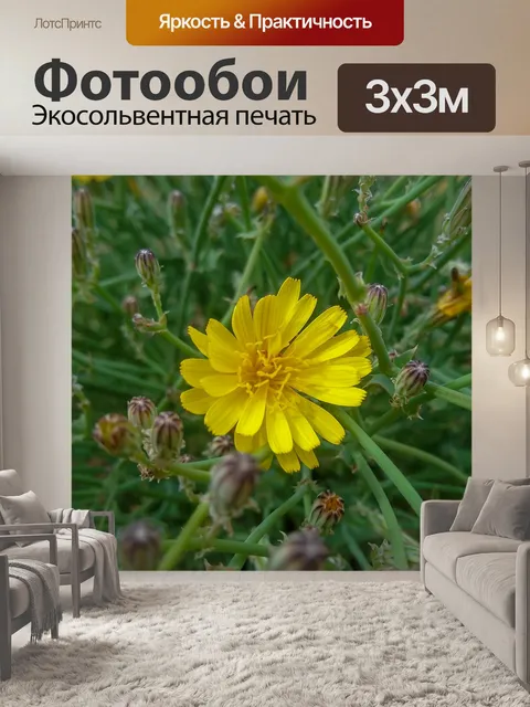 Фотообои Природа