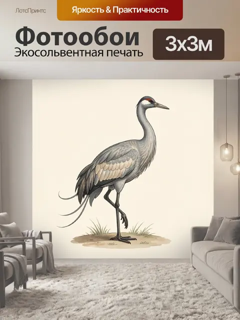 Фотообои Серый журавль в профиль