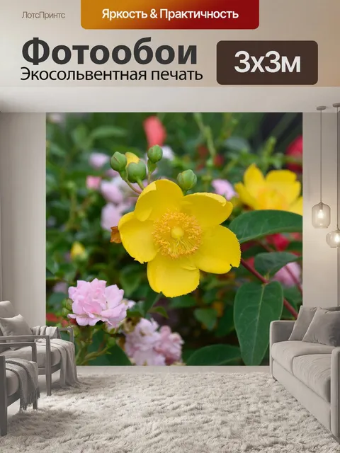 Фотообои Цветы