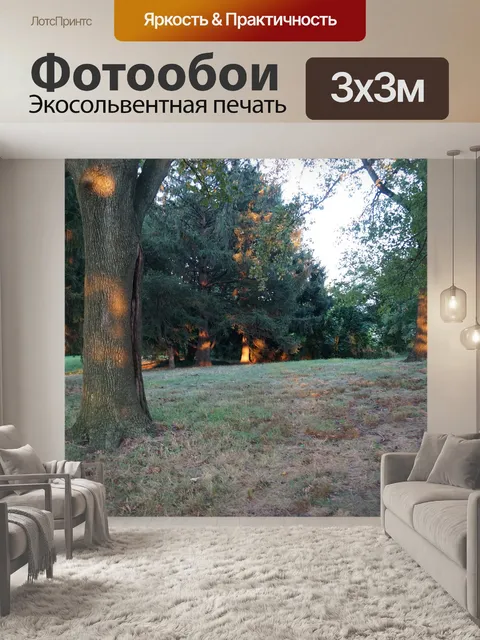 Фотообои Лес