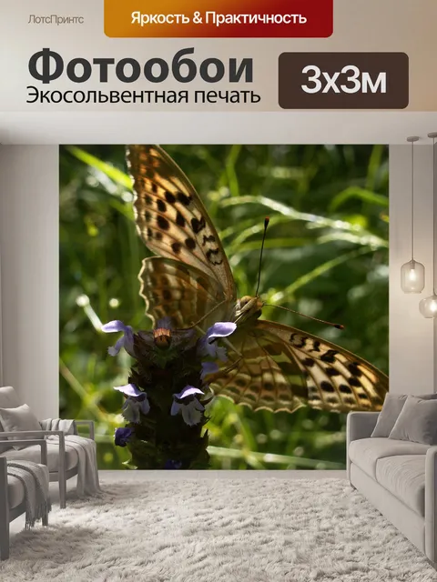 Фотообои Бабочка