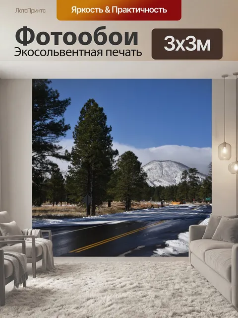 Фотообои Дорога на фоне снега