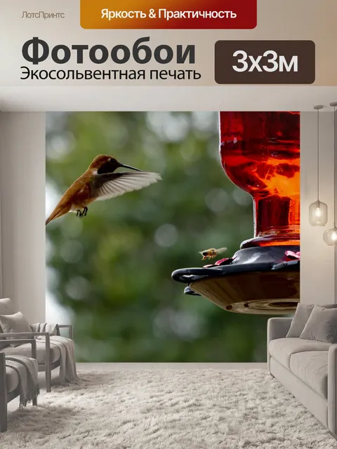 Фотообои Колибри и пчелы