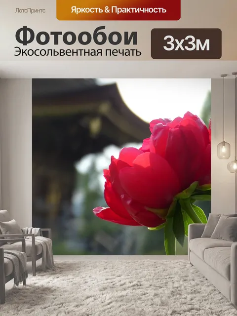 Фотообои Пион