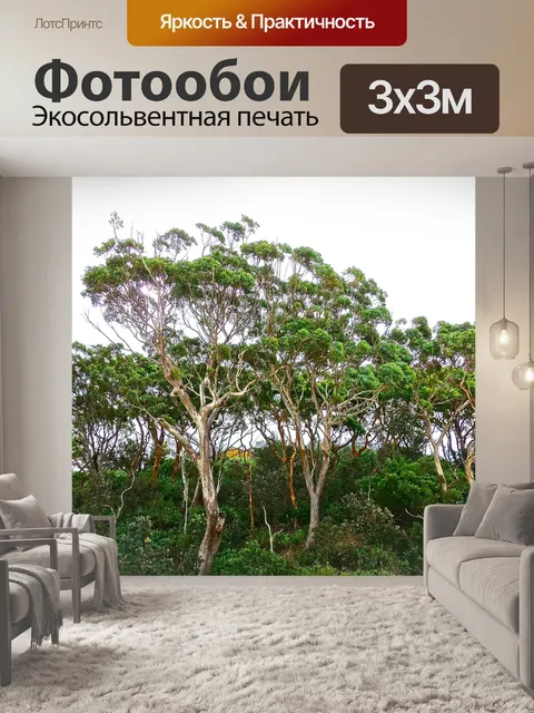 Фотообои Деревья