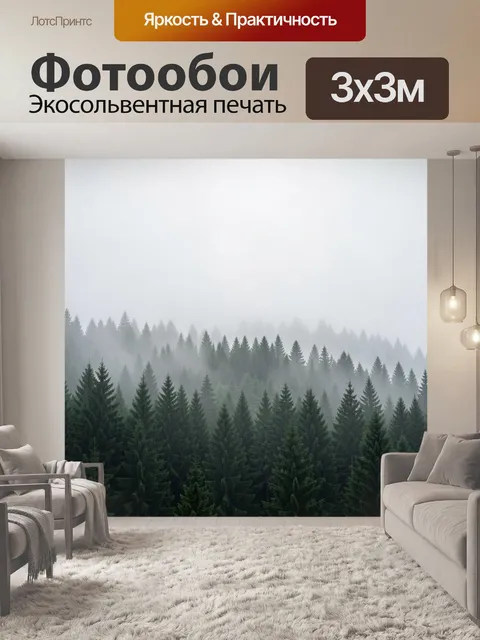 Фотообои Туманный еловый лес
