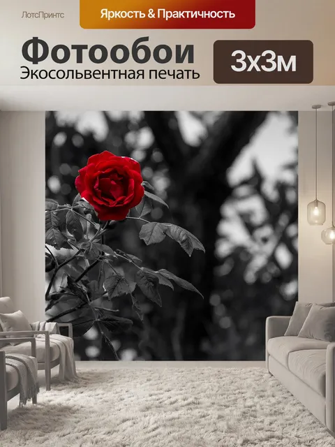 Фотообои Черно-белый