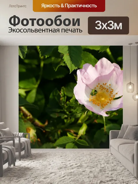 Фотообои Пейзаж