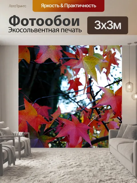 Фотообои Осеннее дерево