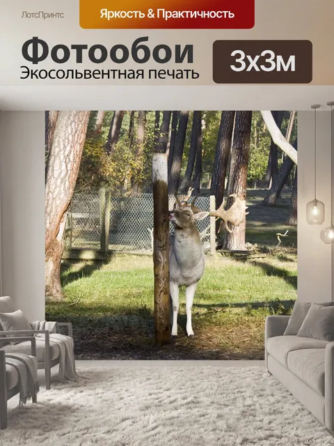 Фотообои Олень