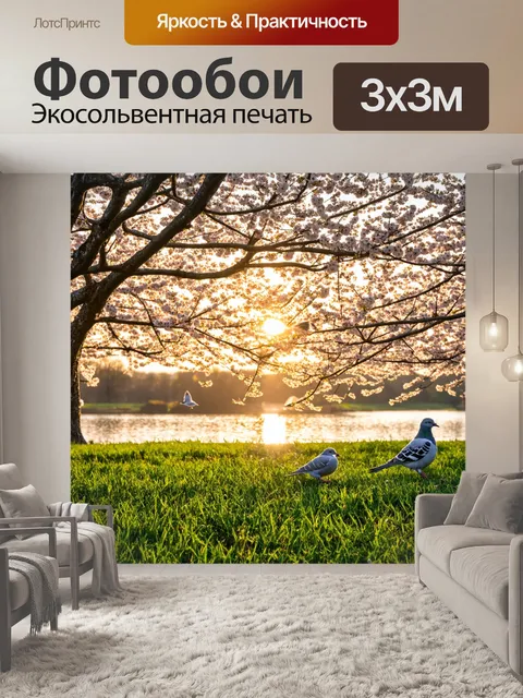 Фотообои весна: утренний пейзаж с росой на траве