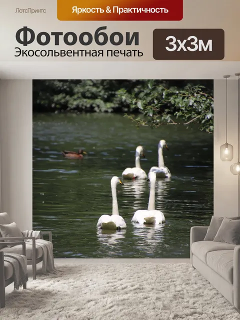 Фотообои Лебеди