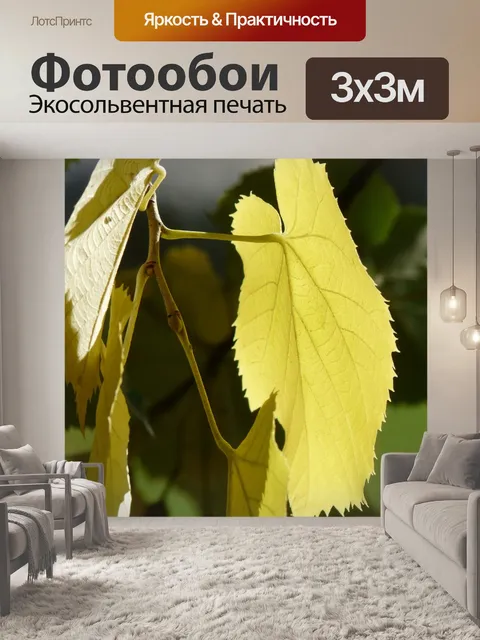 Фотообои Листья липы