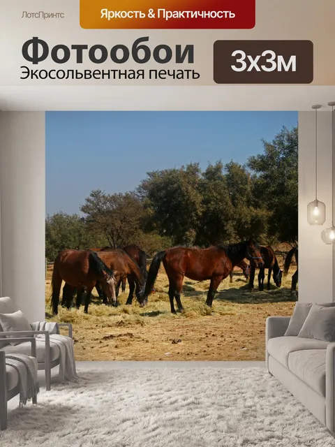 Фотообои Лошади пасутся в качестве дополнительног