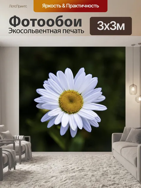 Фотообои Цветы