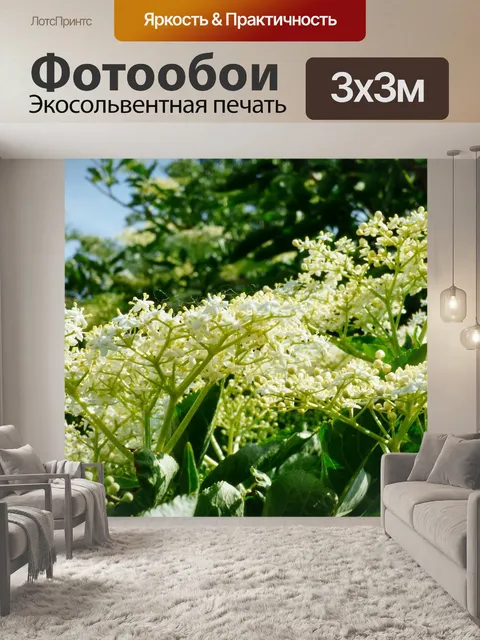 Фотообои Цветы