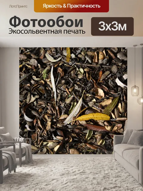 Фотообои Эвкалипт опавшими листьями Фон