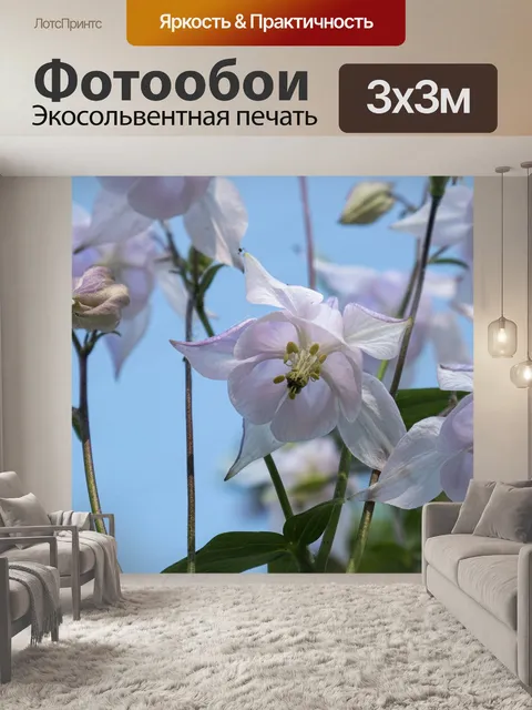Фотообои Свежий