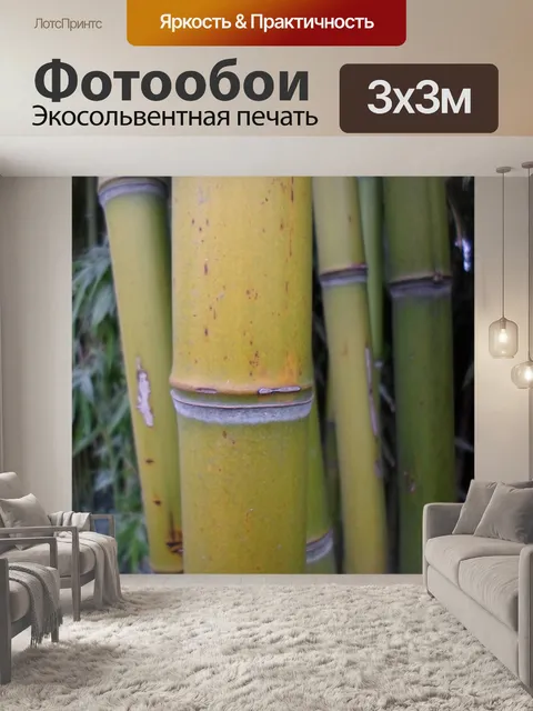 Фотообои Бамбук, соломенная растительность 06