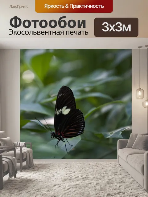 Фотообои Бабочка