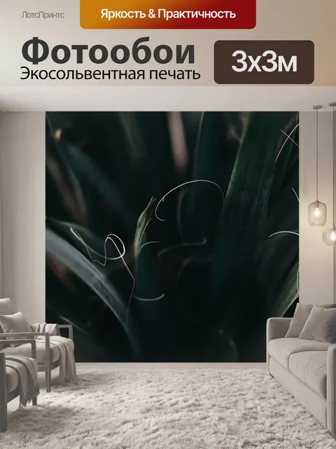 Фотообои Темный