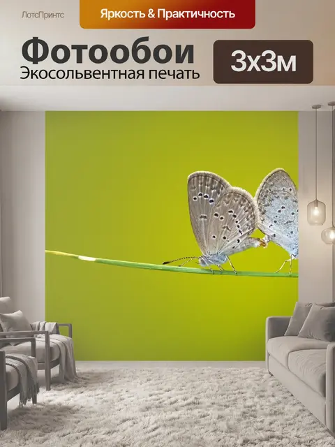 Фотообои Бабочки