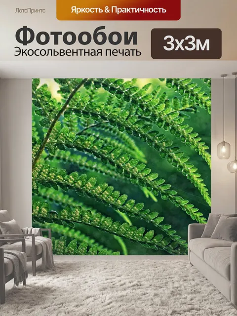 Фотообои Листья папоротника листья фотография