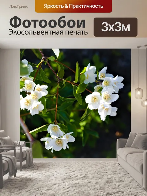 Фотообои Цветы