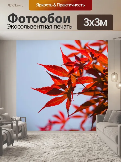 Фотообои Красные листья