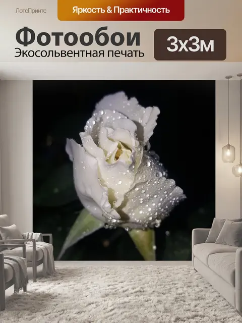 Фотообои Роза