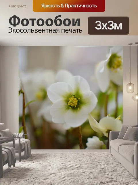 Фотообои Цветы