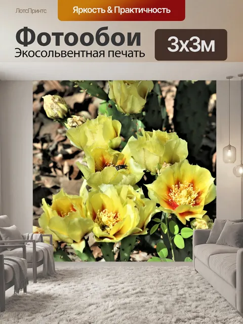 Фотообои Кактус Цветы и друг