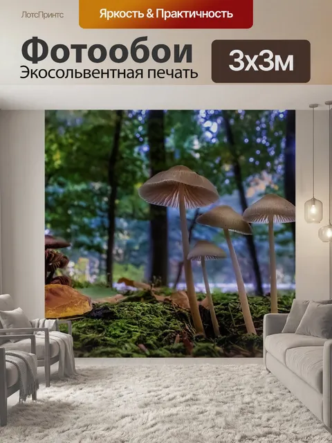 Фотообои Гриб