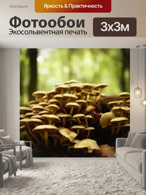 Фотообои Грибы
