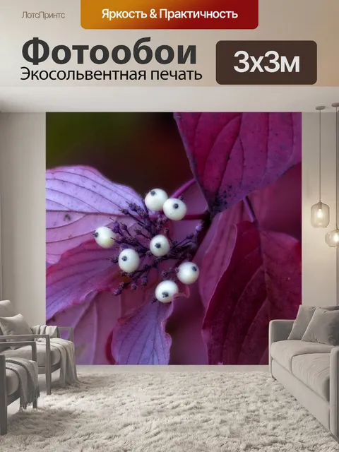 Фотообои Красный