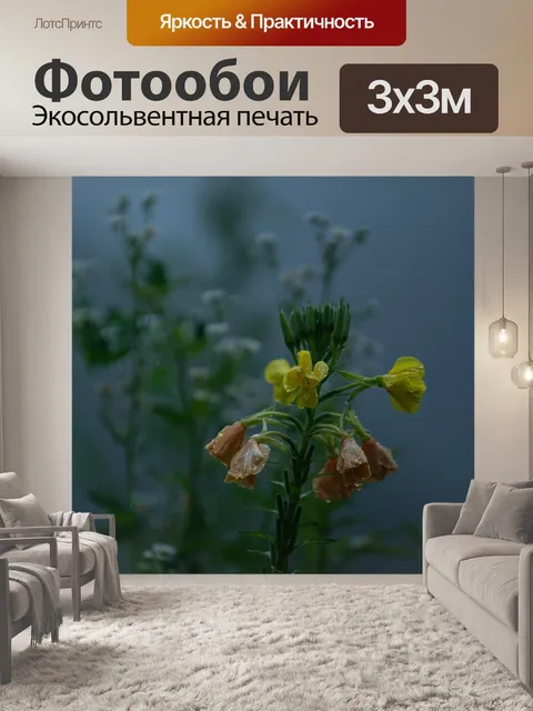 Фотообои Туман