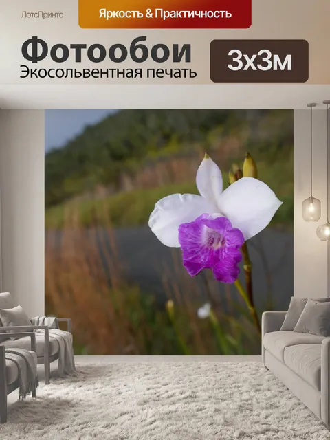 Фотообои Гавайи