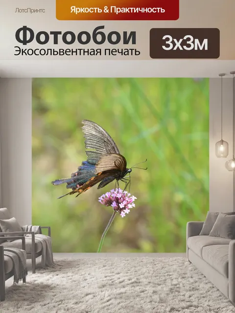 Фотообои Бабочка