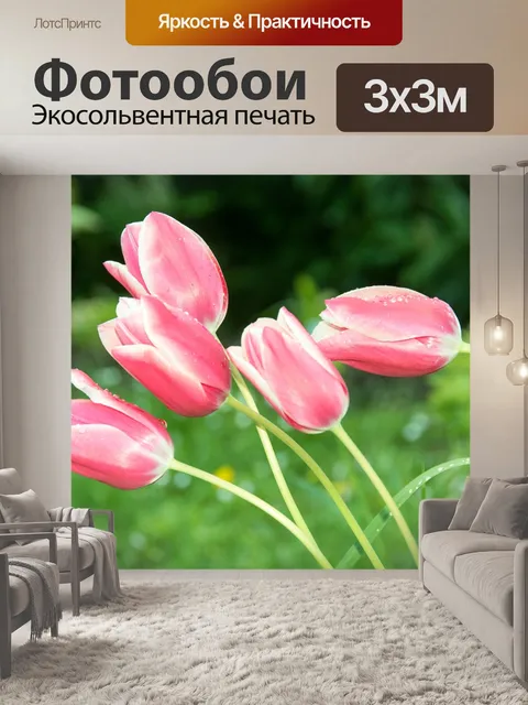 Фотообои Тюльпаны