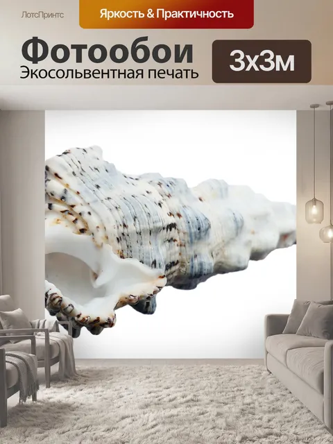 Фотообои Pretty White Sea Shell