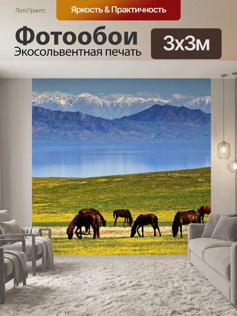 Фотообои Лошадь
